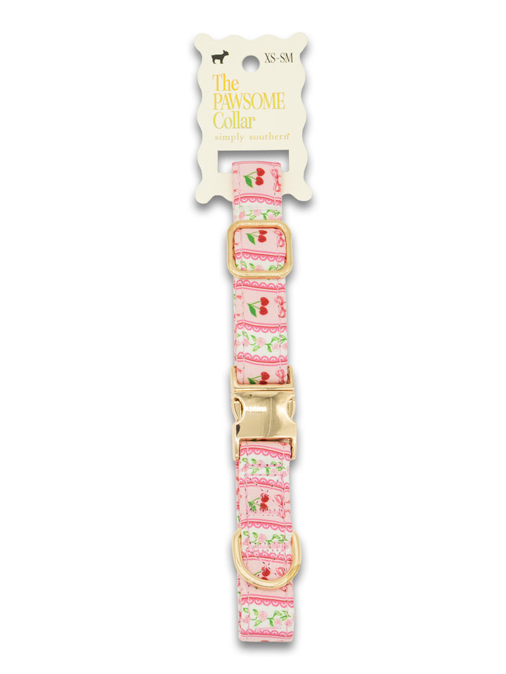 Small Pawsome Collar by Simply Southern