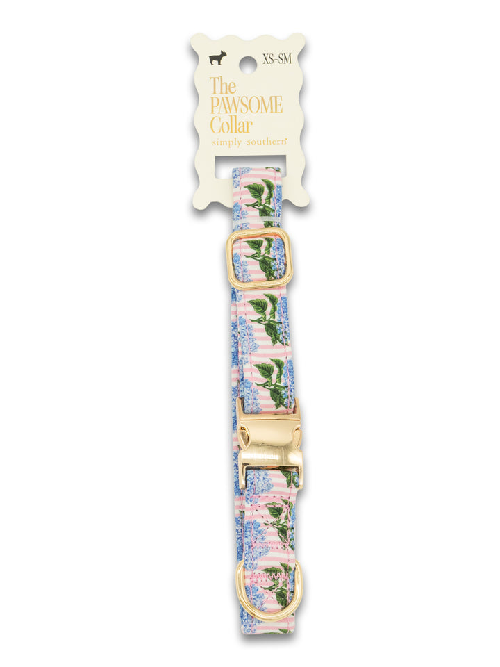 Small Pawsome Collar by Simply Southern