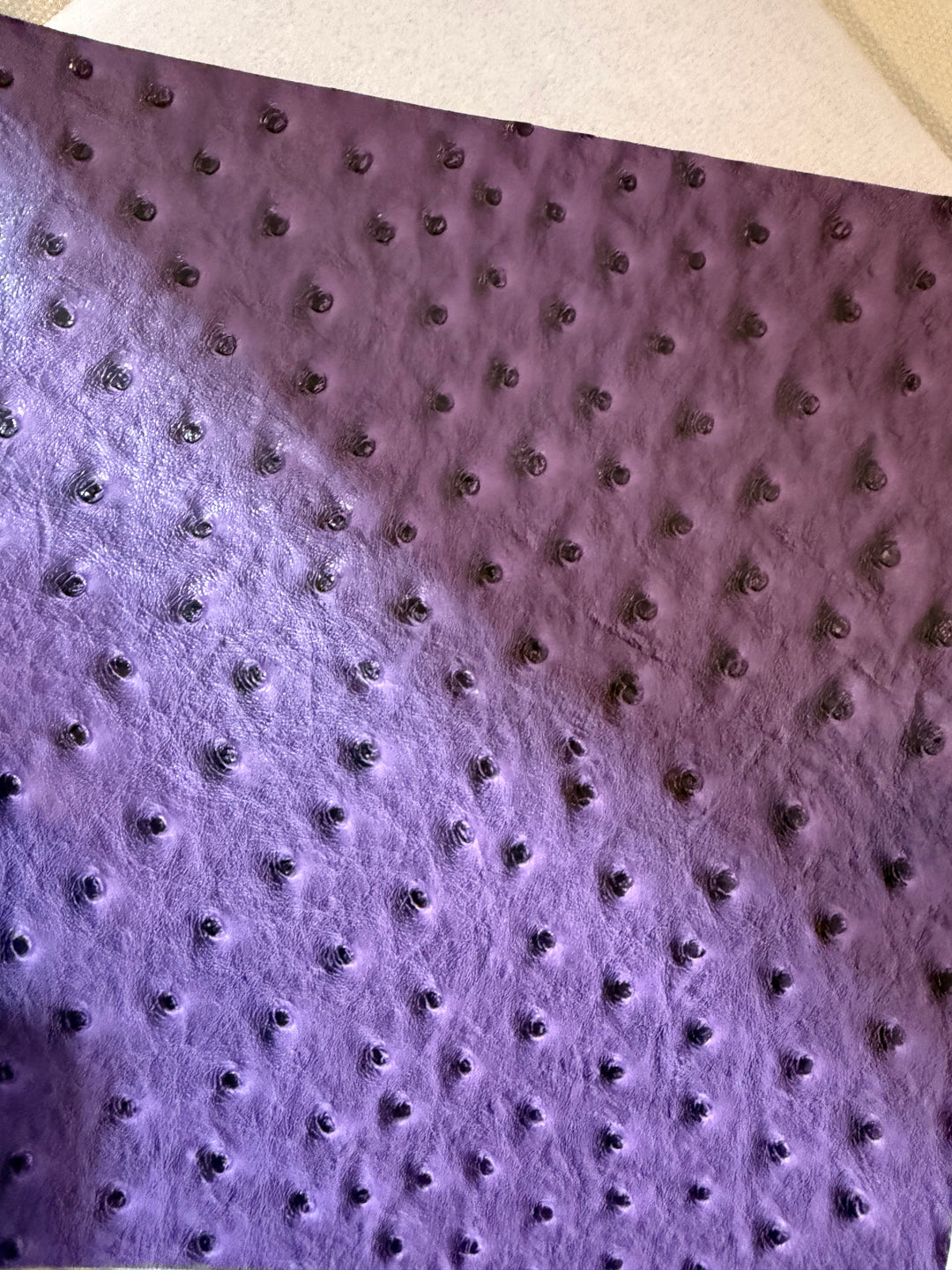 Purple Ostrich Mini Top Zip Single Ladies ROUND 2 by Makeup Junkie Bags 10/5 (Ships in 4-5 Weeks)
