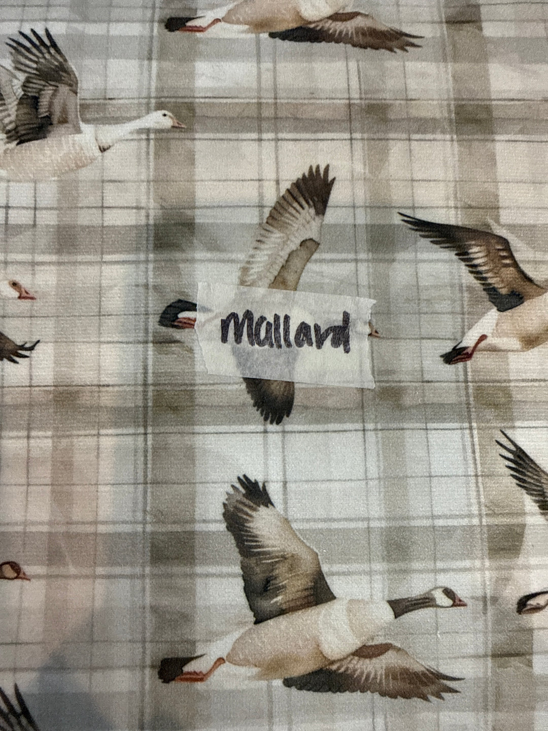 MJ TX PREPO SINGLE LADIES: Mallard Mini Top Zip by Makeup Junkie (Ships in 3-4 Weeks)
