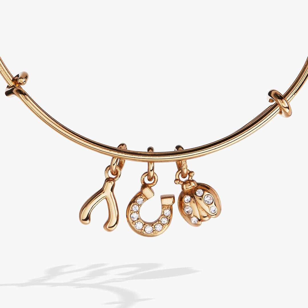 Love and Luck Multi-Charm Bangle Bracelet by Alex + Ani (Ships in 2-3 Weeks)