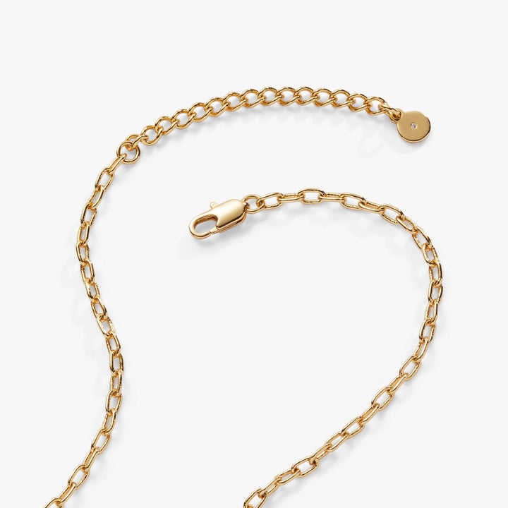 Love and Luck Wheel Charm Necklace by Alex + Ani