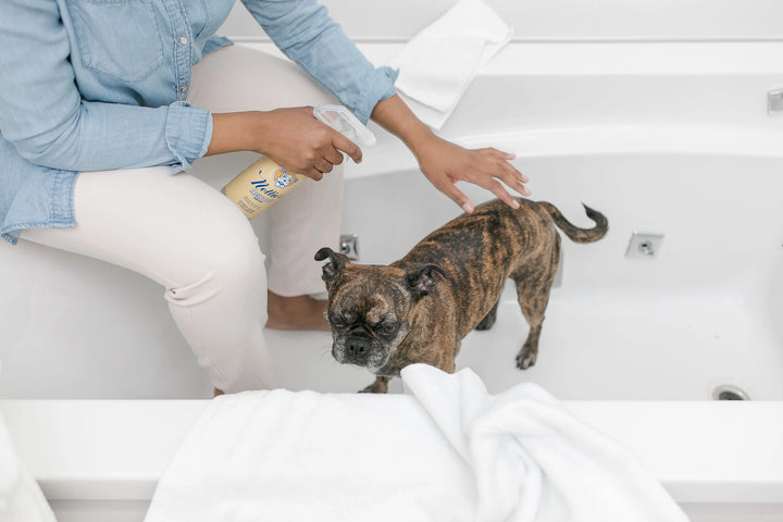 Fresh Dog Waterless Pet Shampoo