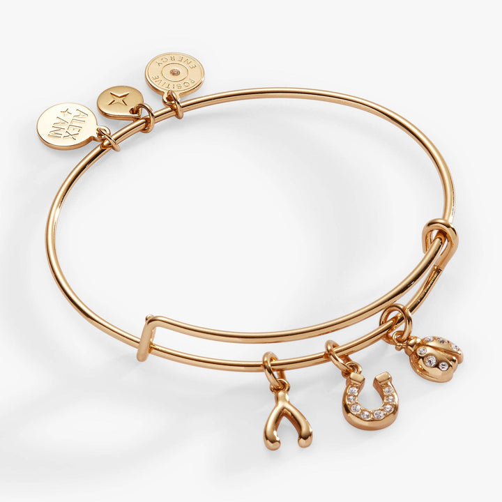 Love and Luck Multi-Charm Bangle Bracelet by Alex + Ani (Ships in 2-3 Weeks)