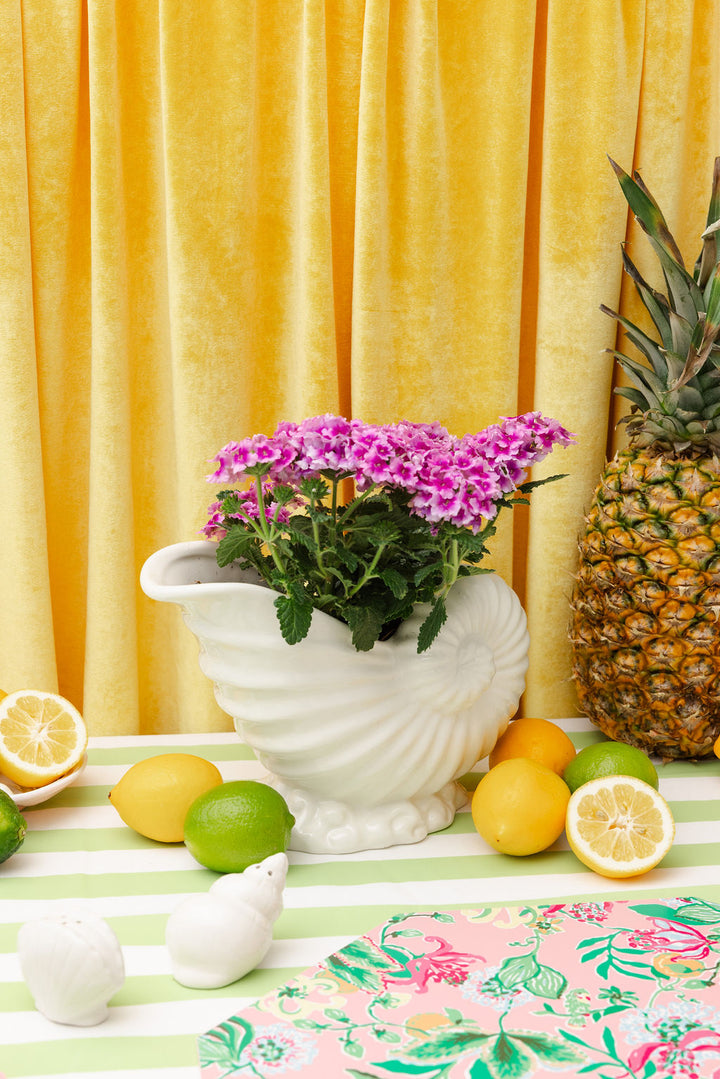 Ceramic Planter by Lilly Pulitzer - Resort White Shell