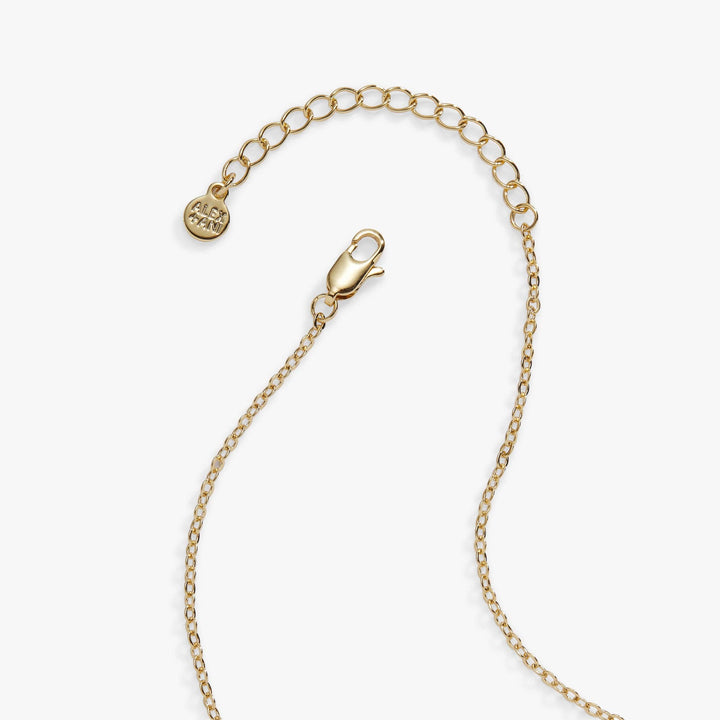 Cookie Jar Locket Necklace by Alex +  Ani (Ships in 2-3 Weeks)