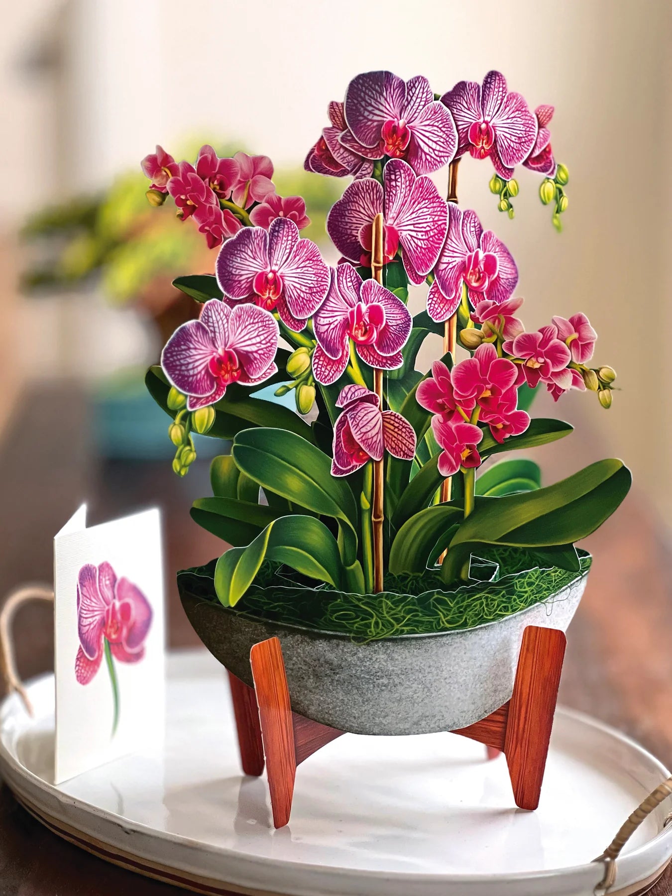 Orchid Oasis Pop Open Flower Bouquet Greeting Card