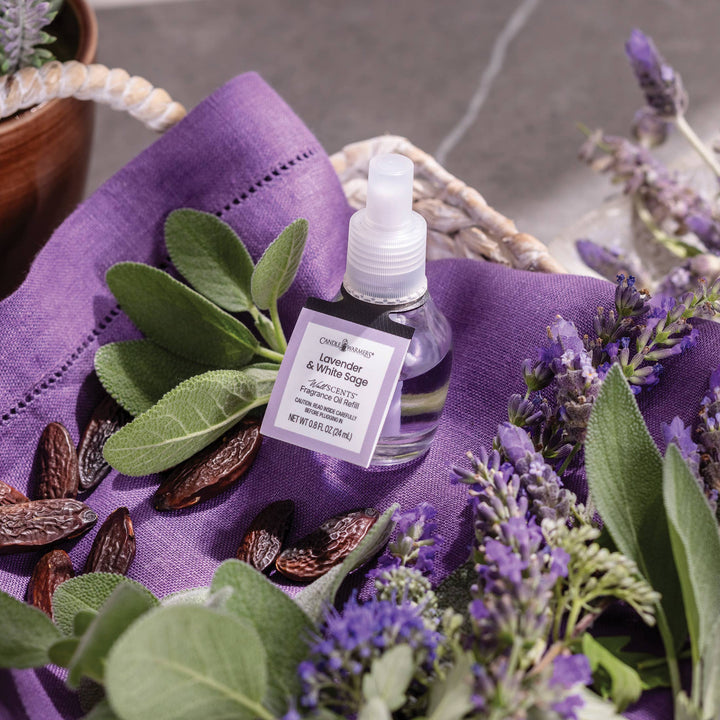 WallScents™ Fragrance Oil Refill - Lavender & White Sage