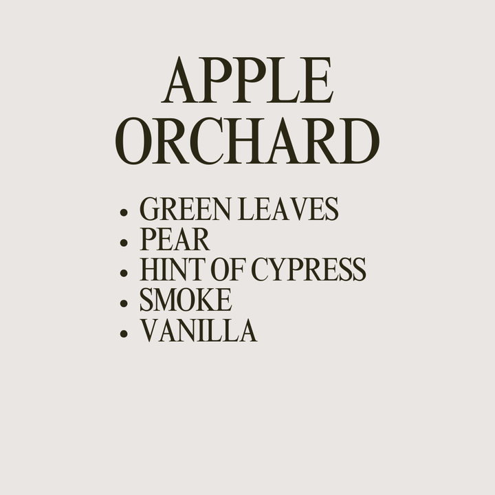 Fall Three Wick Candle - Cider House