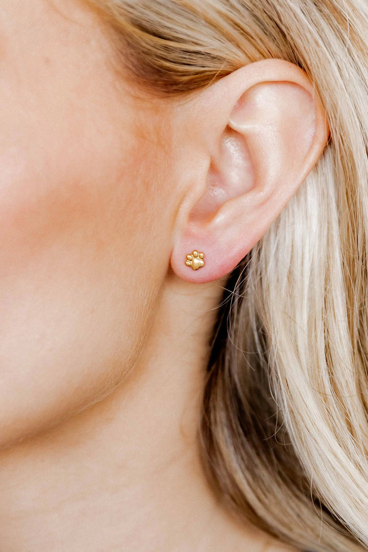 Screwback Stud Earrings - Paw Print Gold By Linny & Co