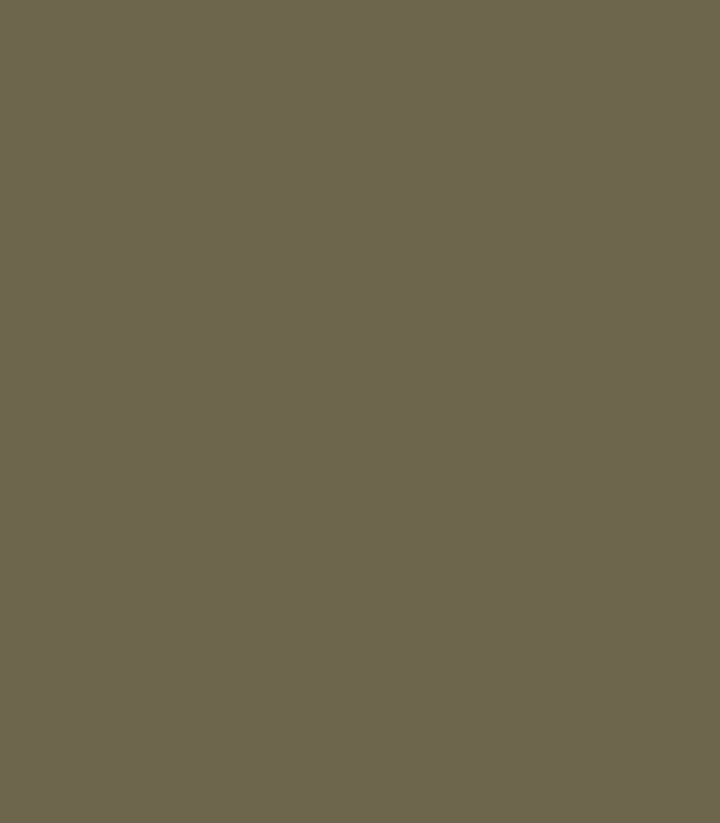 Olive Solid Lunch Bag
