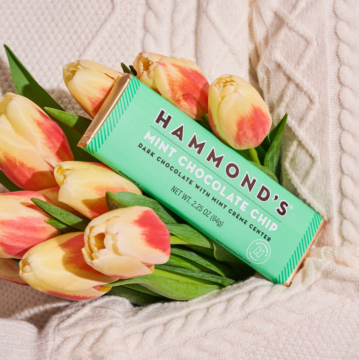 Mint Chocolate Chip Dark Chocolate Candy Bar