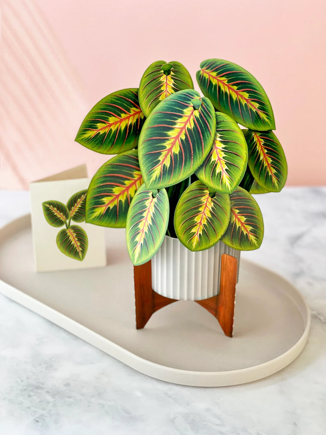 prayer plant open and close Prayer Plant Pop Open Bouquet Greeting Card – Prep Obsessed