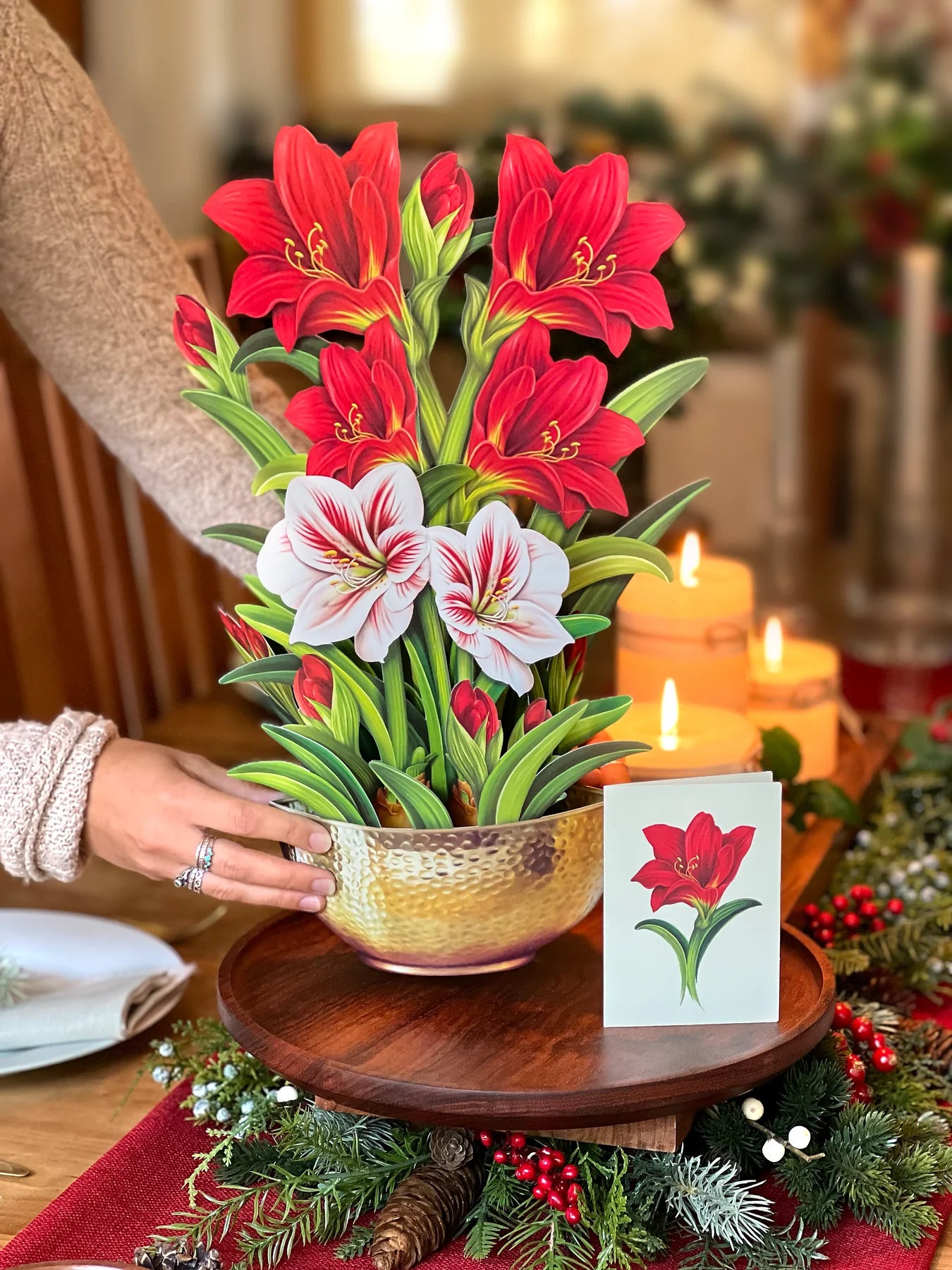 Scarlet Amaryllis Pop Open Flower Bouquet Greeting Card