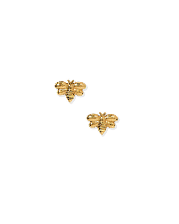 Screwback Stud Earrings - Bumble Bee by Linny Co