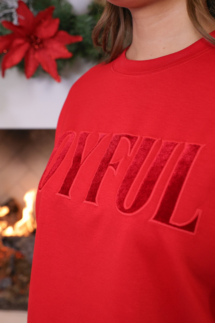 Joyful Velvet Patch Luxe Pullover by Jess Lea