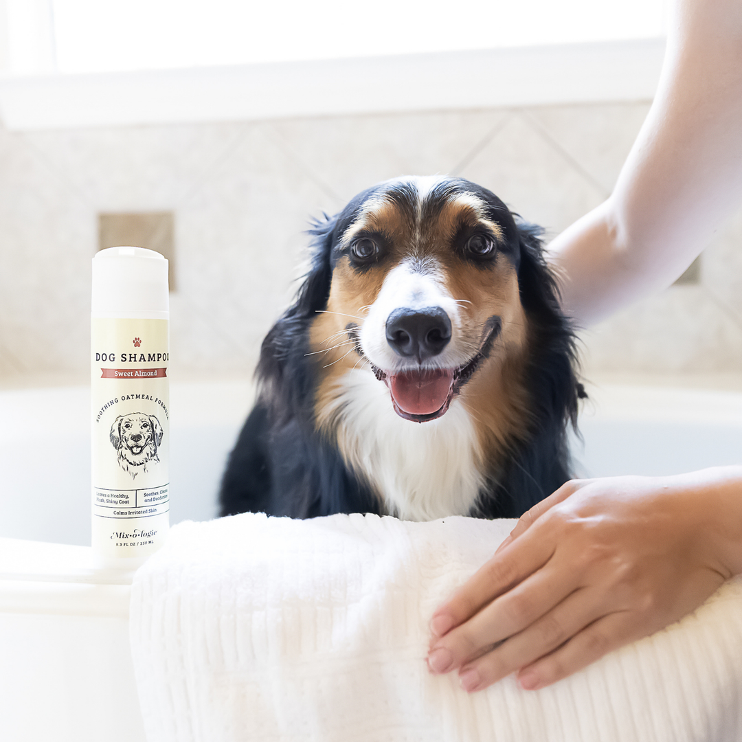Soothing Dog Shampoo by Mixologie (SEPT ARRAY: Ships in 2-3 Weeks)