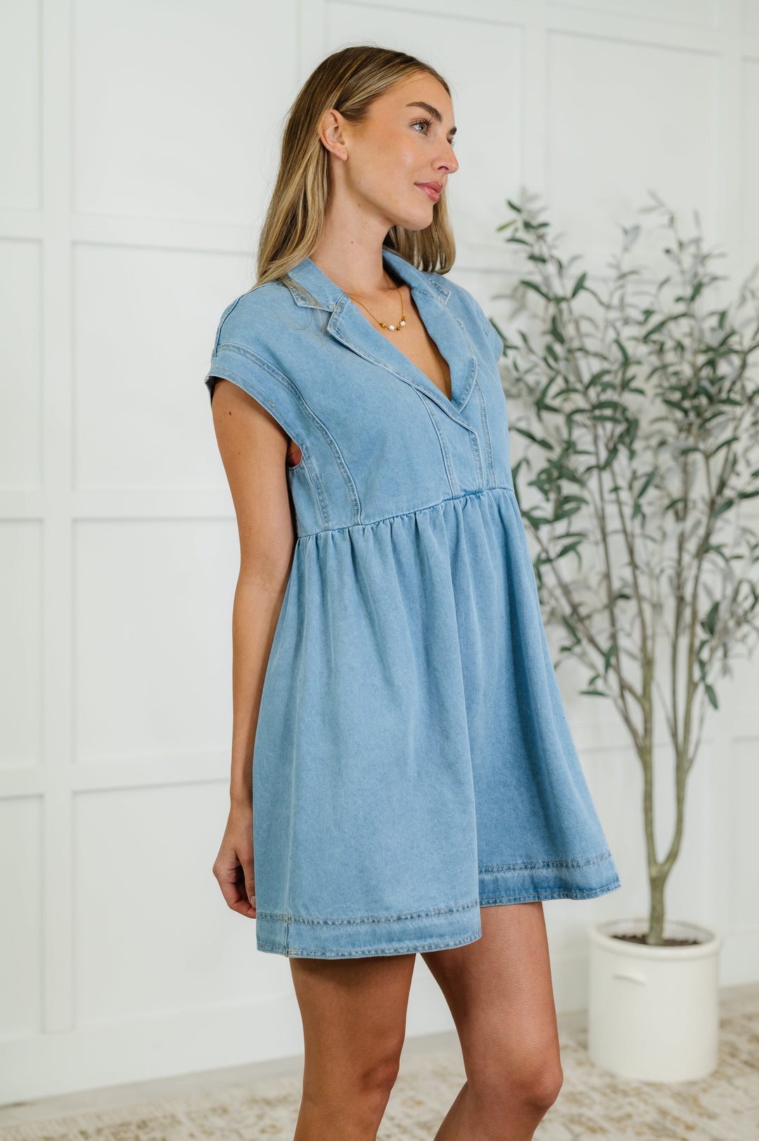 First Rodeo Denim Dress - 6/22
