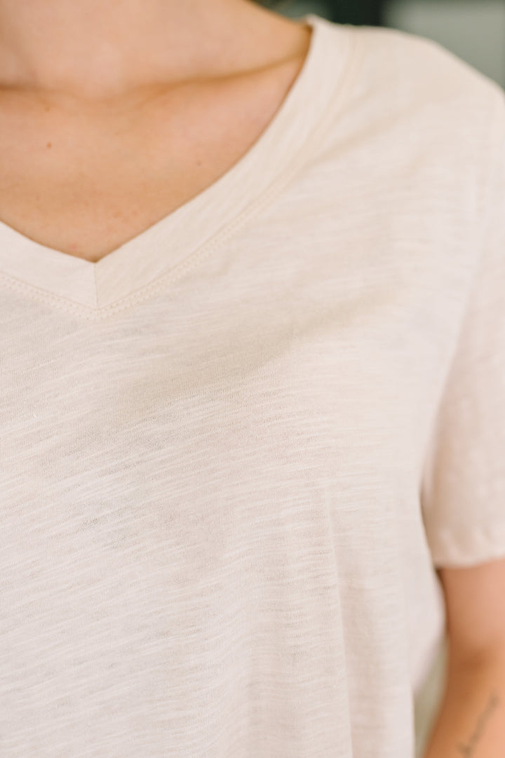 I Don't Have to Choose V-Neck Tee in Oatmeal - 6/11