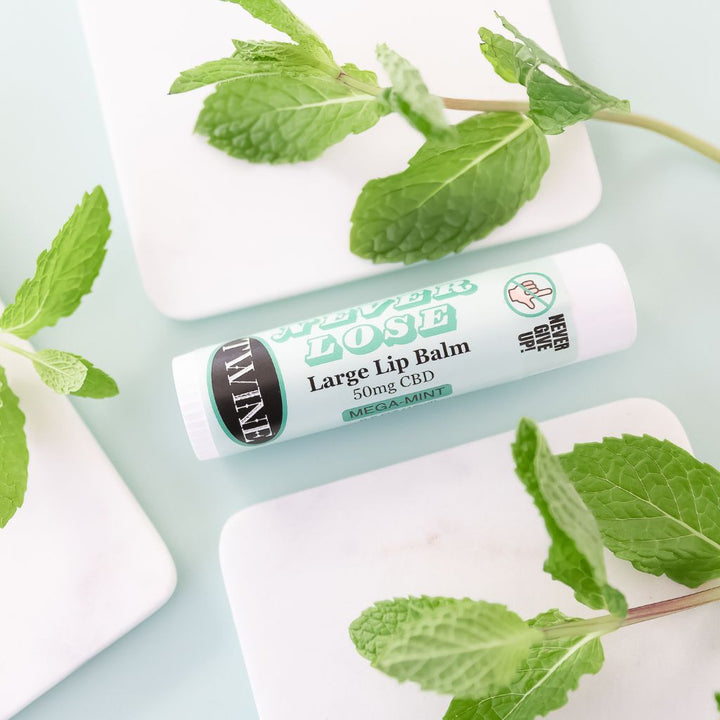 Never Lose Large Lip Balm by Twine (Ships in 2-3 Weeks)