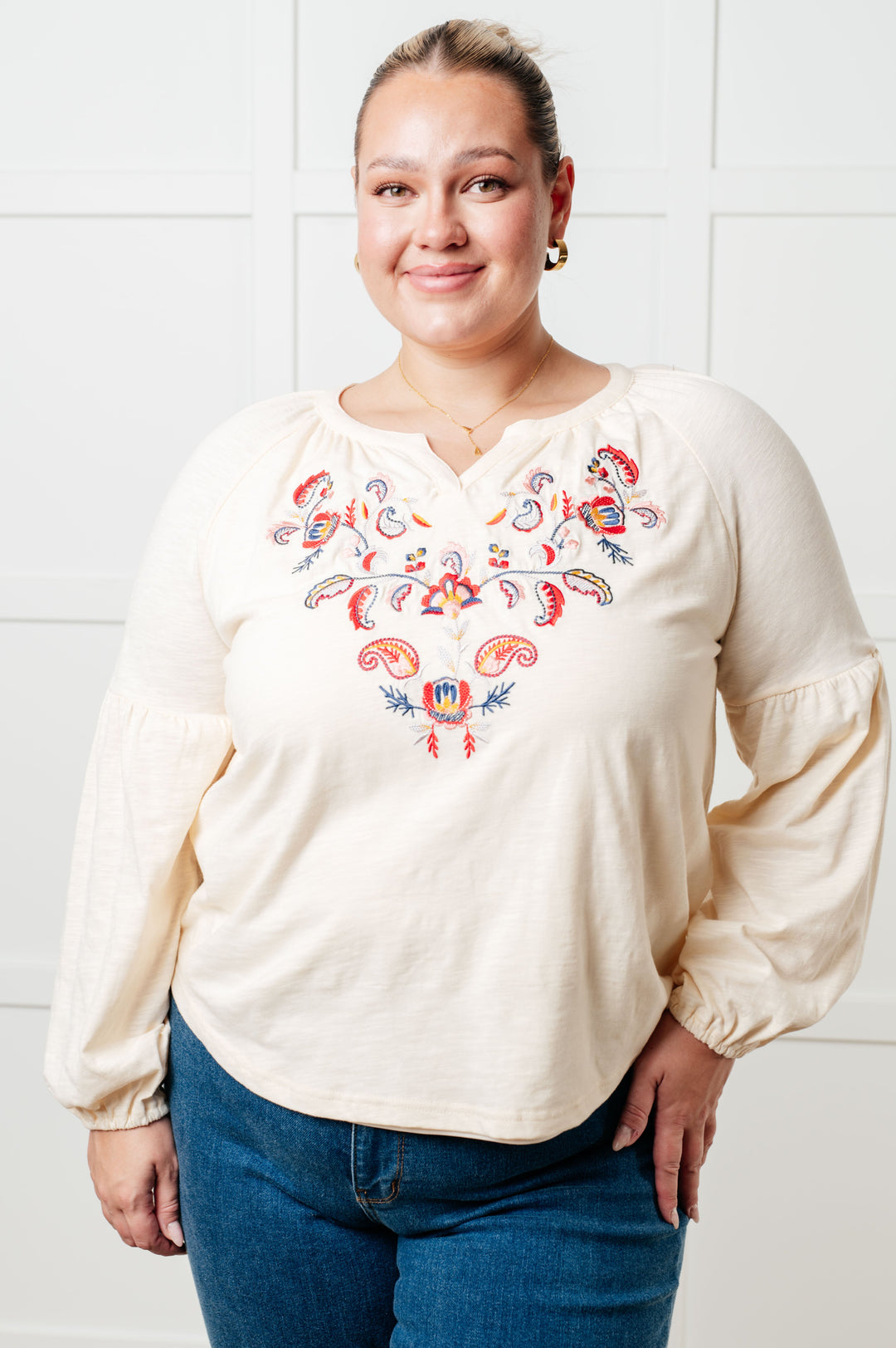 More Than You Would Think Embroidered Blouse - 8/17