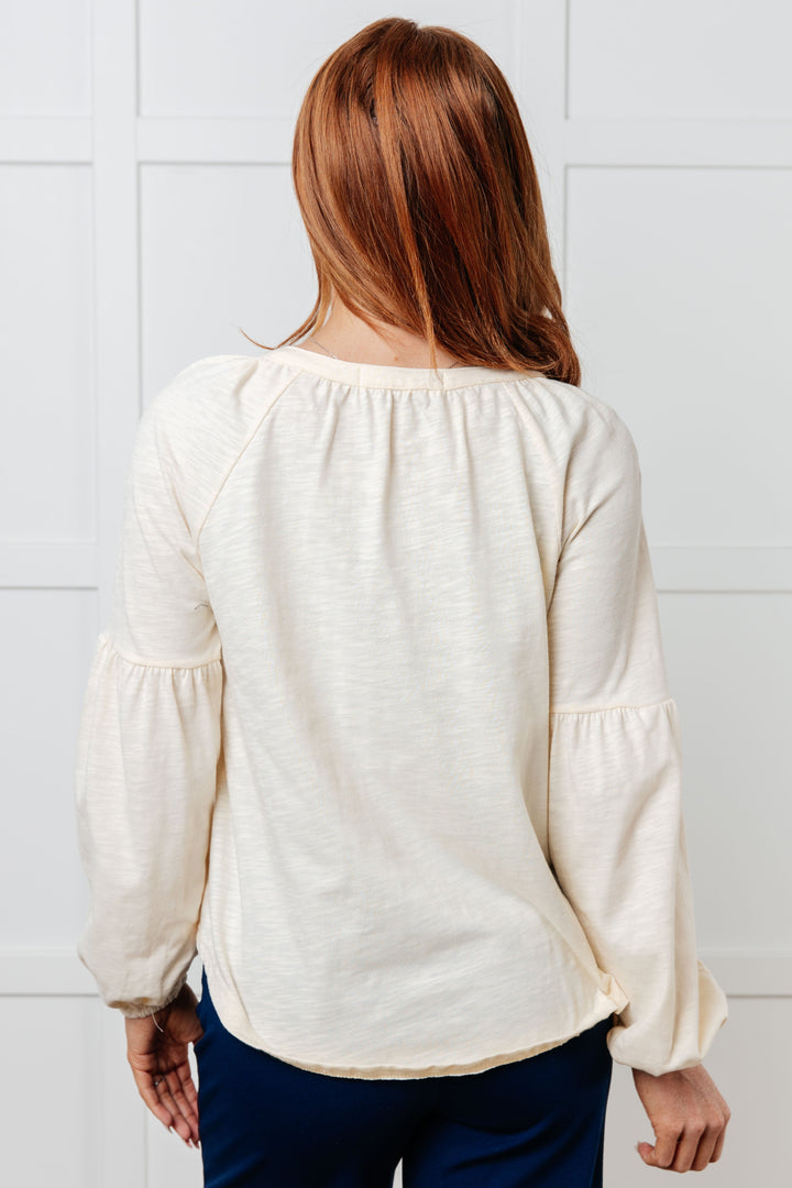 More Than You Would Think Embroidered Blouse - 8/17