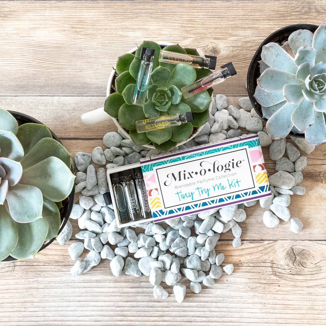 Mixologie Tiny Try Me Kit open slide box flat lay on wood surface surrounded by three succulent plants and white river rocks, with individual perfume vials including Assured, Electric, and Inspired displayed around box