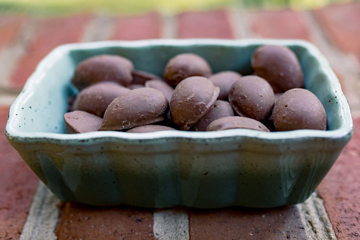 Holiday Milk Chocolate Zorro Pecans