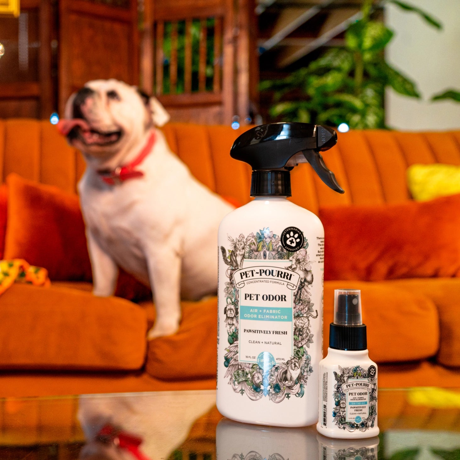 Pawsitively Fresh Pet Odor Eliminator Spray Mini by Poo-Pourri