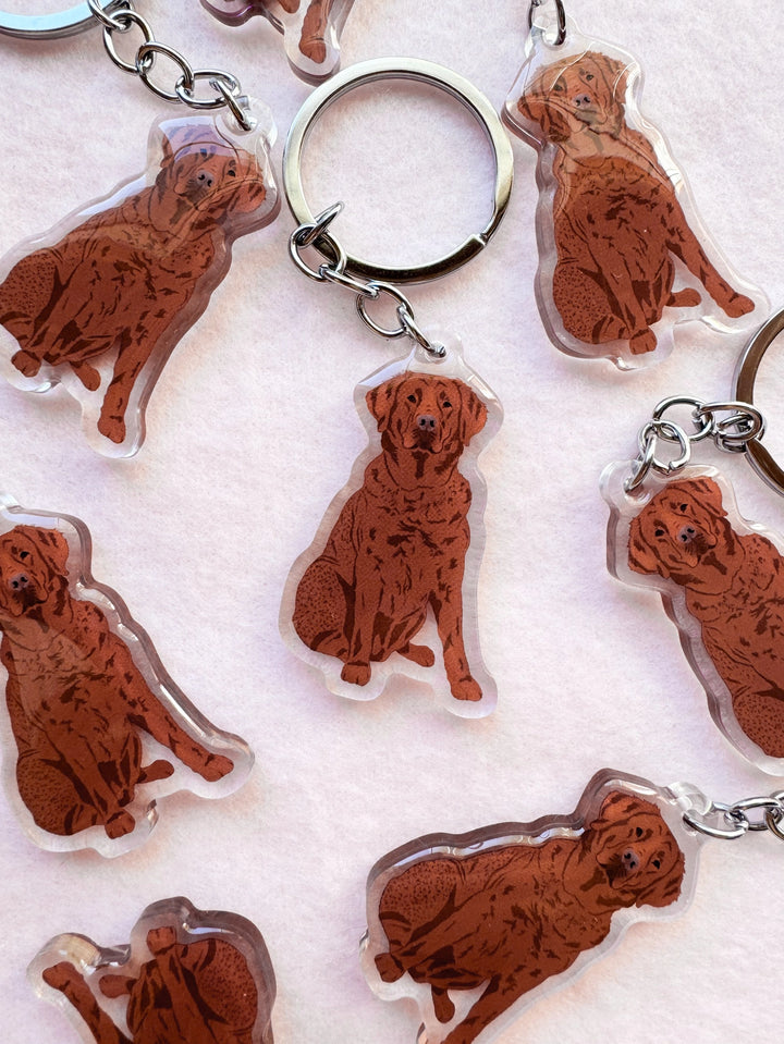 Chesapeake Bay Retriever Keychain