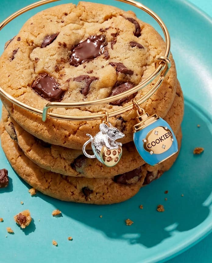 Cookie Jar Bangle Bracelet by Alex + Ani (Ships in 2-3 Weeks)