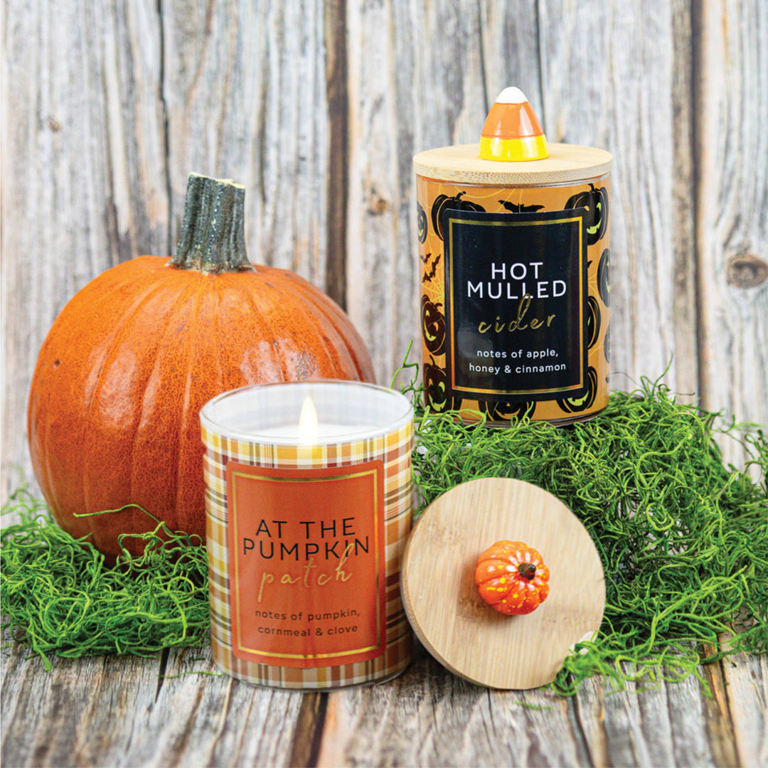 At The Pumpkin Patch 10oz Candle