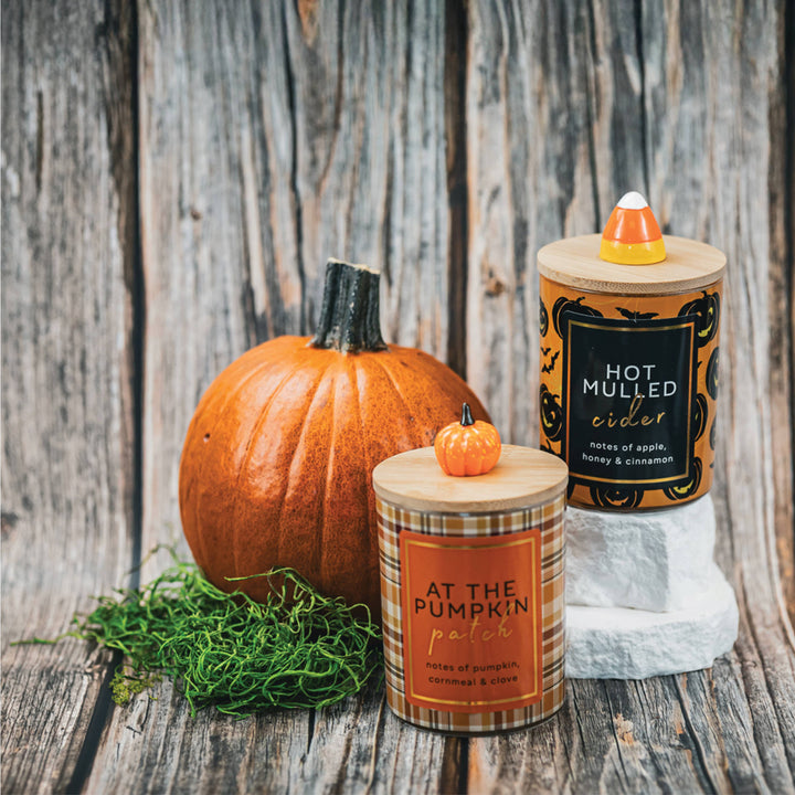 Hot Mulled Cider 10oz Candle