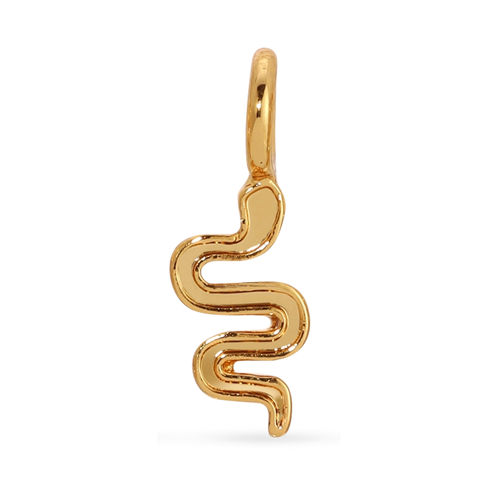 Charm Garden Gold Snake Charm by Lucky Feather
