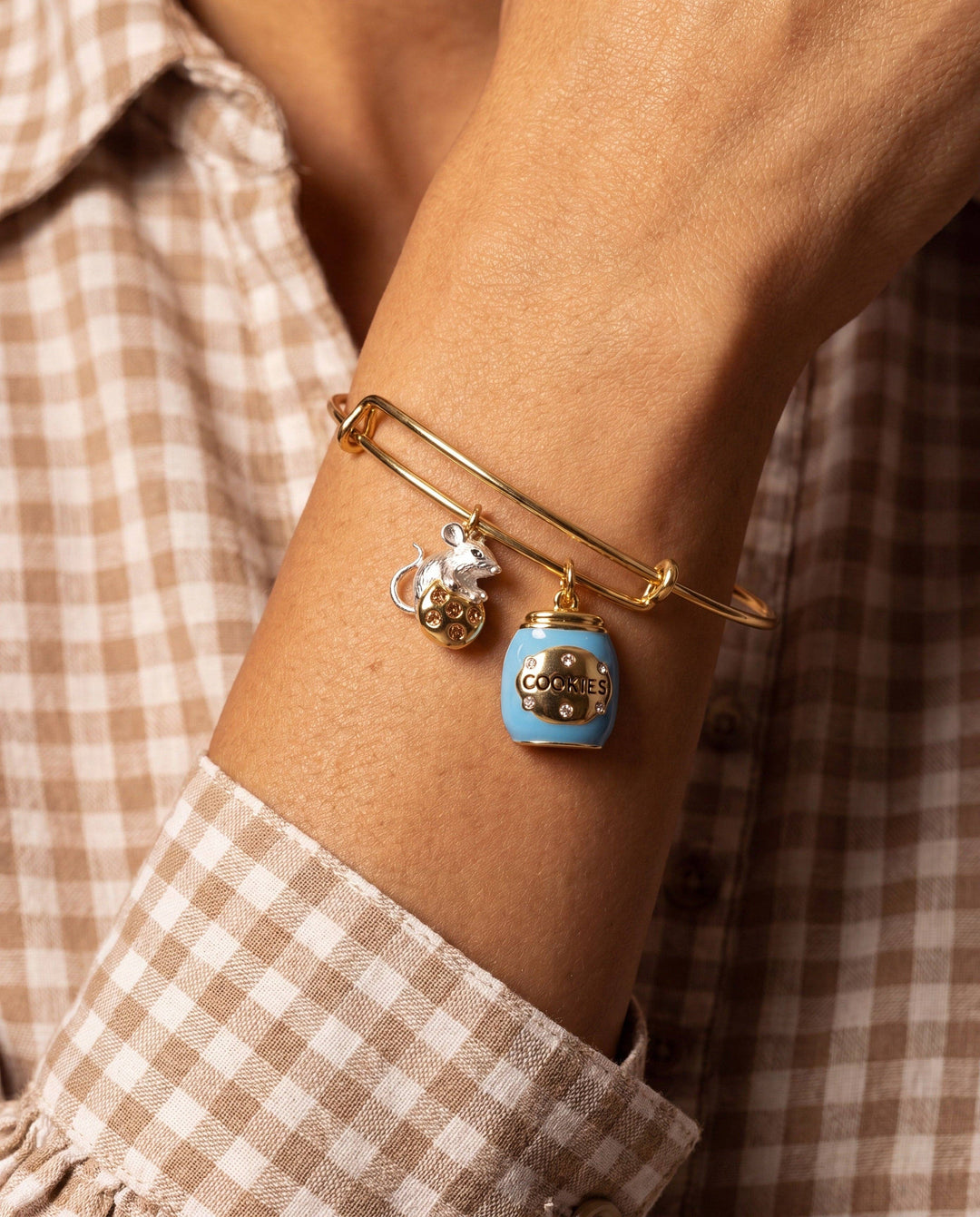 Cookie Jar Bangle Bracelet by Alex + Ani (Ships in 2-3 Weeks)