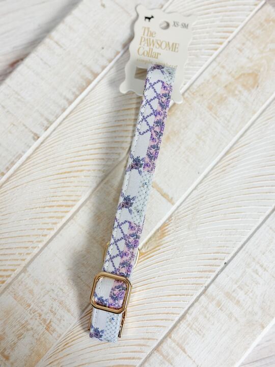 Small Pawsome Collar by Simply Southern
