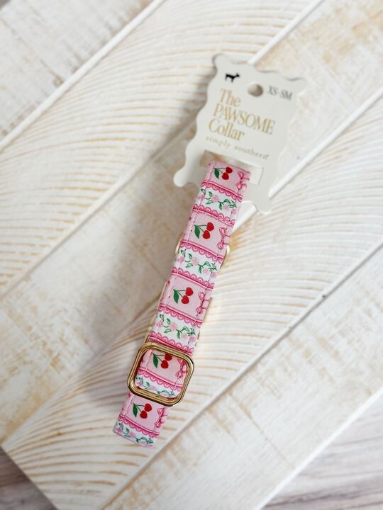 Small Pawsome Collar by Simply Southern