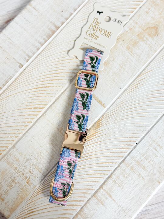 Small Pawsome Collar by Simply Southern