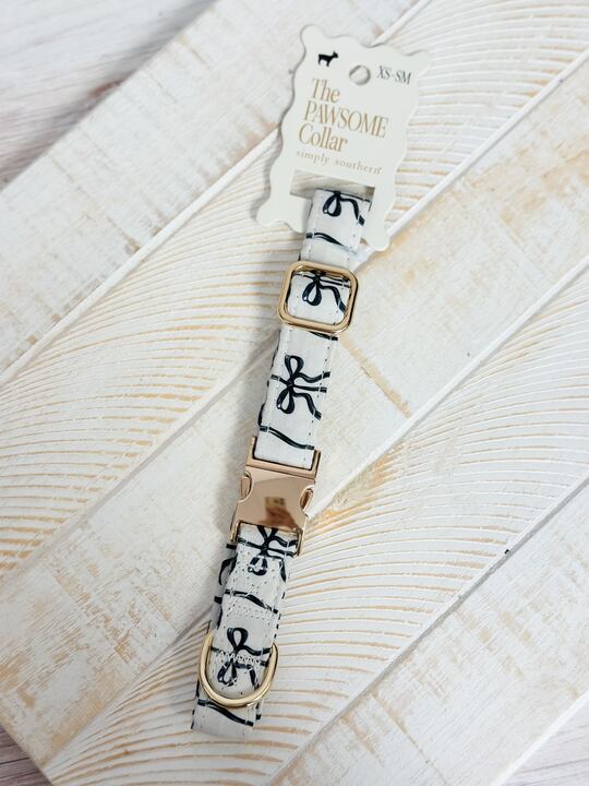Small Pawsome Collar by Simply Southern