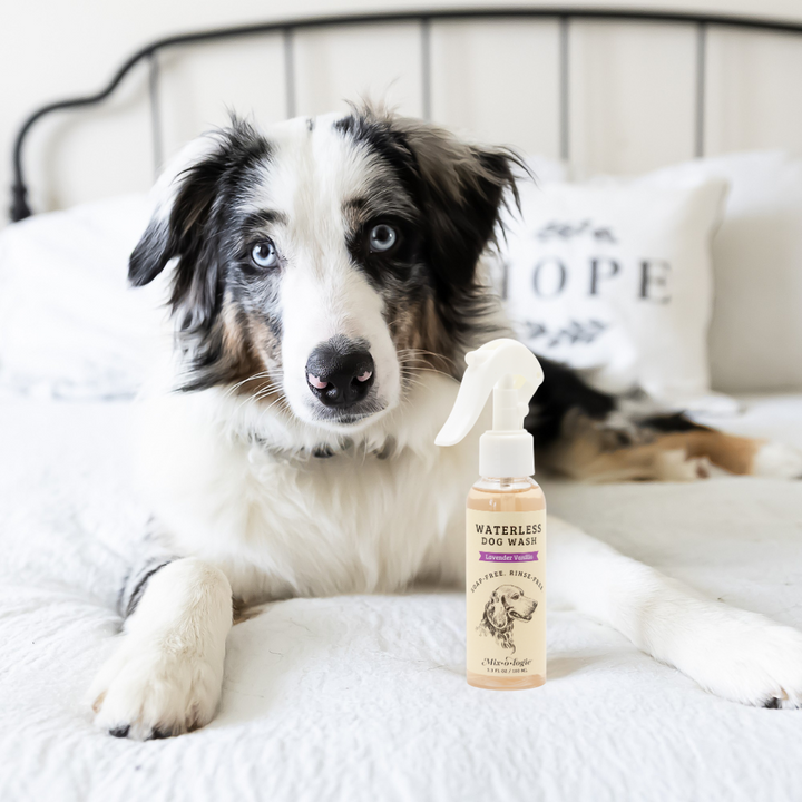 Rinse-Free Dog Wash by Mixologie (SEPT ARRAY: Ships in 2-3 Weeks)