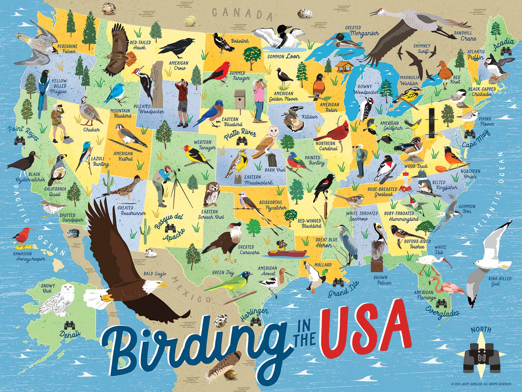 Birding In The USA 500 Piece Jigsaw Puzzle