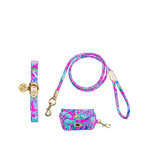 Dog Walk Set by Lilly Pulitzer - Lil Earned Stripes