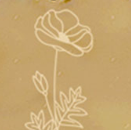 Birth Month Flower Anne Necklace