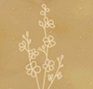 Birth Month Flower Anne Necklace