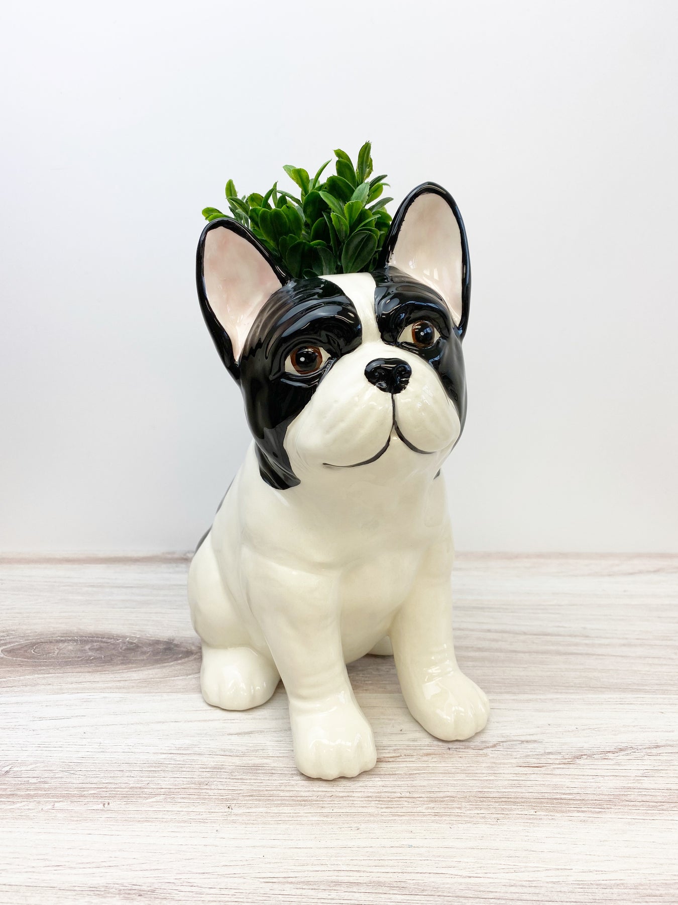 Hand Painted Dog Vases Choice of Breed Prep Obsessed