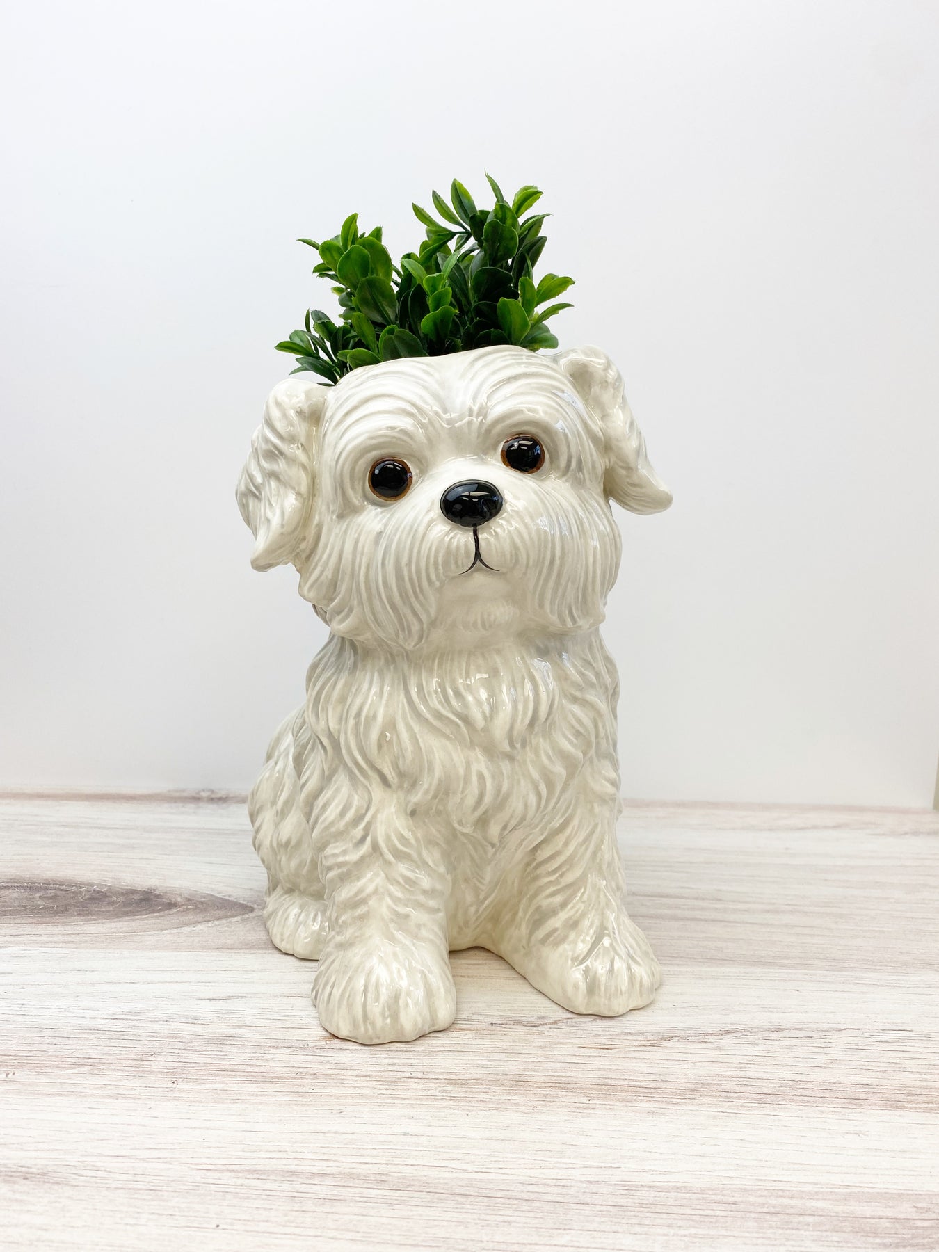 Hand Painted Dog Vases Choice of Breed Prep Obsessed