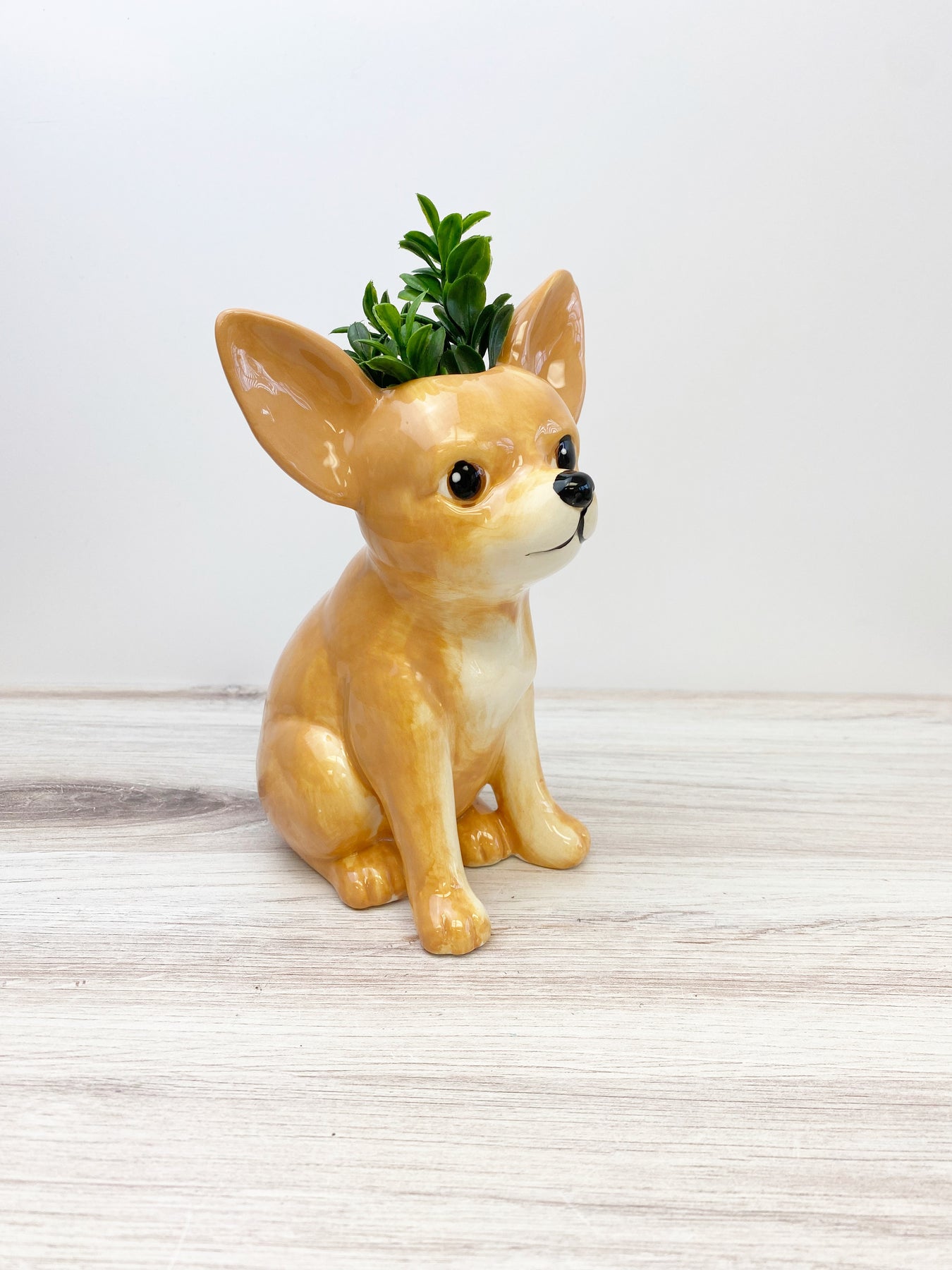 Hand Painted Dog Vases Choice of Breed Prep Obsessed